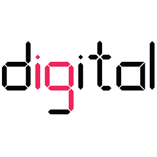 Digital IQ – Webáruház tanácsadás és projektvezetés, SEO Audit és adat-elemzés